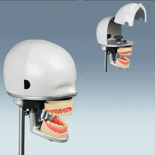 Maniquí de prácticas para cuidados dentales - PK-2 - frasaco - de cabeza