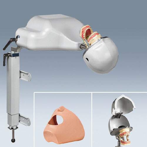 Simulador de paciente para cuidados dentales - PK-1 TL - frasaco - de cabeza