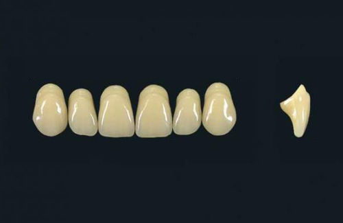 Prótesis dental de polímero acrílico - TRIBOS 501  T66-UJ-C2 - GEBDI Dentalproducts GmbH   - de los dientes anteriores