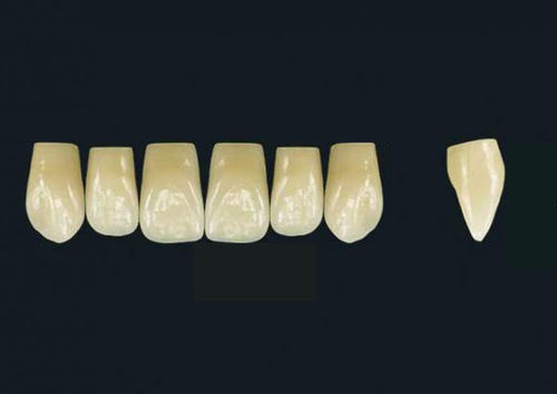 Prótesis dental de polímero acrílico - TRIBOS 501 VT76-UJ-C2 - GEBDI Dentalproducts GmbH   - de los dientes anteriores