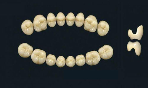 Prótesis dental de polímero acrílico - TRIBOS 501 SLA-UJ-B1 - GEBDI Dentalproducts GmbH   - para dientes posteriores