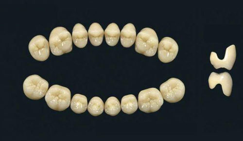 Prótesis dental de polímero acrílico - TRIBOS 501 C  SLA-OK-B1 - GEBDI Dentalproducts GmbH   - para dientes posteriores