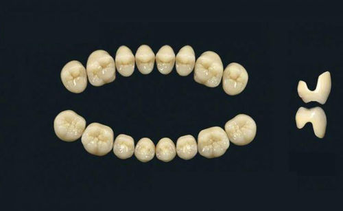 Prótesis dental de polímero acrílico - TRIBOS 501 C SMA-UJ-B1 - GEBDI Dentalproducts GmbH   - para dientes posteriores