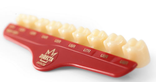Corona dental policarbonato - Directa® - DIRECTA AB   - molares / translúcido