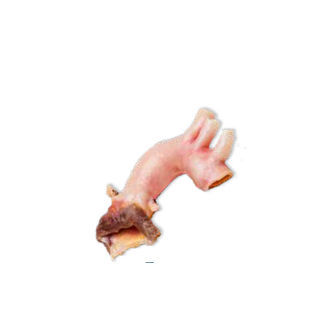 Bioprótesis valvular aórtica - CardioGraft® - Lifenet Health  