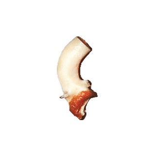 Bioprótesis vascular aorta ascendente - CardioGraft® - Lifenet Health   - alotrasplante