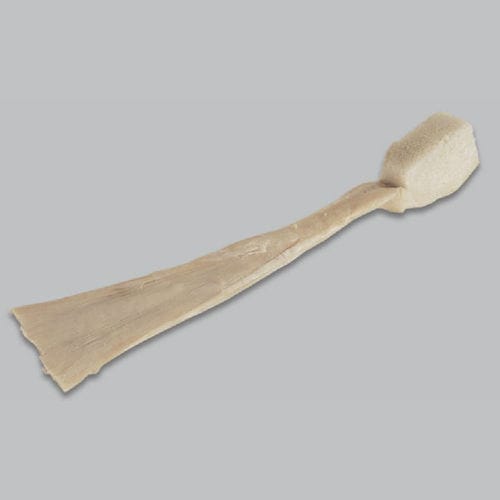 Prótesis de ligamento tendón calcáneo - FlexiGraft® - Lifenet Health   - ligamento cruzado anterior / ligamento cruzado posterior / alotrasplante