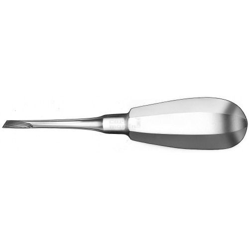 Luxador dental recto - 541/1 - Carl Martin GmbH   - de Kopp