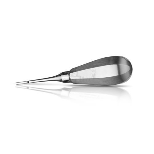 Elevador dental recto - 558/11 - Carl Martin GmbH  