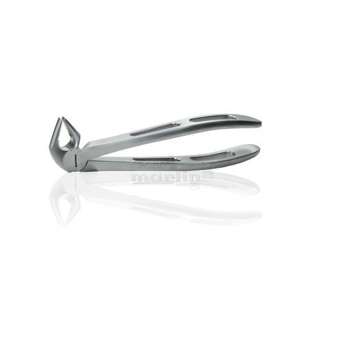 Fórceps de extracción para raíz dental - GX13 - Carl Martin GmbH  