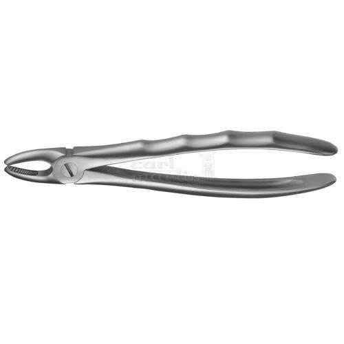 Fórceps de extracción dental para premolares - LS1 - Carl Martin GmbH  
