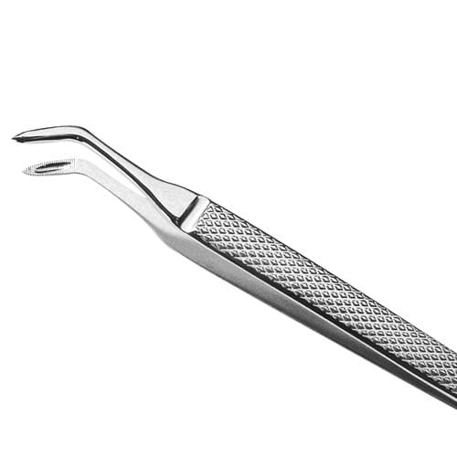 Pinza dental quirúrgica - 1030 - MEDESY s.r.l.   - curvada