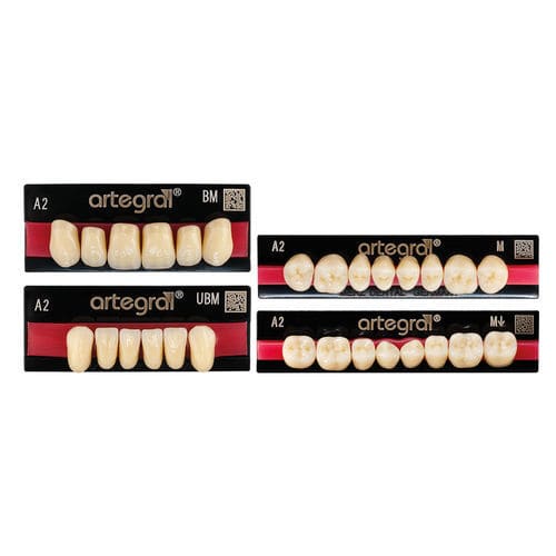 Prótesis dental de PMMA - artegral®  - Merz Dental GmbH   - de los dientes anteriores / para dientes posteriores / prefabricada