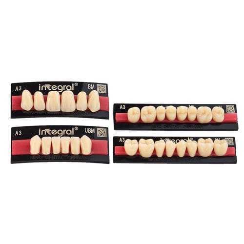 Prótesis dental de PMMA - integral® - Merz Dental GmbH   - de los dientes anteriores / para dientes posteriores / forma anatómica