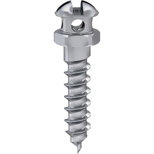Implante dental cónico - LINK - MIS Implants Technologies Ltd.   - de titanio / externo / de anclaje ortodóntico