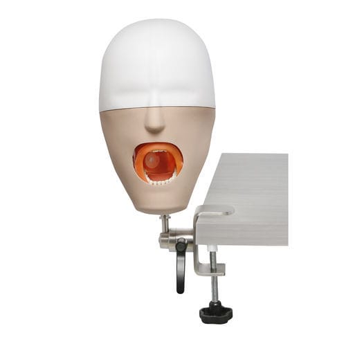 Maniquí de prácticas para cuidados dentales - NA001 - Navadha Enterprises   - de cabeza