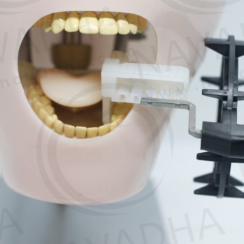 Fantoma de prueba para radiografía dental - NA252 - Navadha Enterprises   - de mandíbula