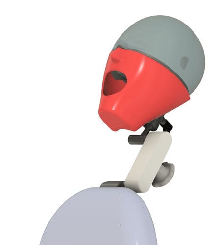 Maniquí de prácticas para odontología - NA236 - Navadha Enterprises   - de cabeza