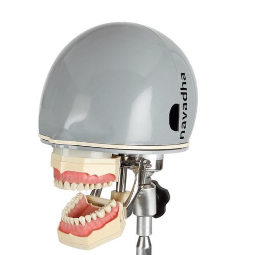 Maniquí de prácticas para odontología - NA261 - Navadha Enterprises   - de cabeza