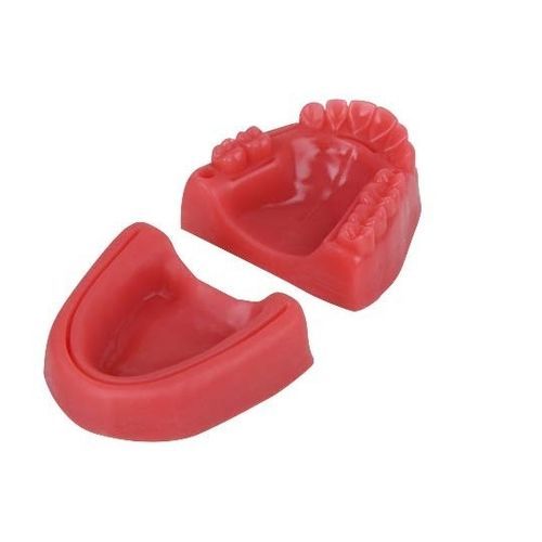 Modelo anatómico bucal - SP087 - Navadha Enterprises   - para cuidados dentales / de formación / para sutura