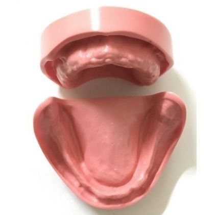 Modelo anatómico para odontología - SP064 - Navadha Enterprises   - de prótesis dental / de formación / de resina