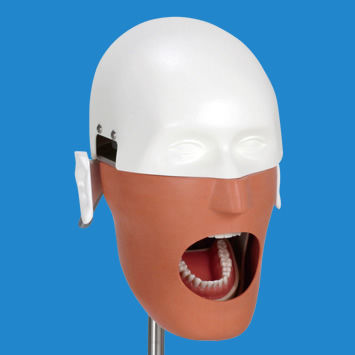 Simulador de paciente para cuidados dentales - NISSIM Type 1 - Nissin Dental Products Inc.   - de cabeza