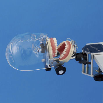 Maniquí de prácticas para cuidados dentales - SIMPLE MANIKIN III - Nissin Dental Products Inc.   - de cabeza