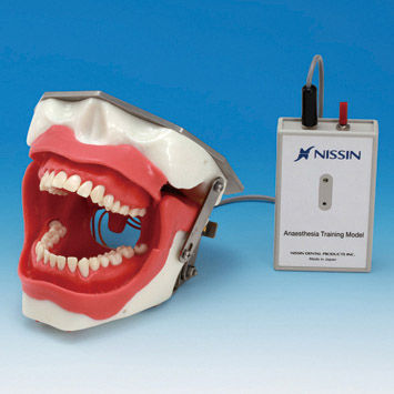 Simulador de paciente de anestesia dental - SUG2005-UL-SP - Nissin Dental Products Inc.   - de inyección / para cuidados dentales / de cabeza