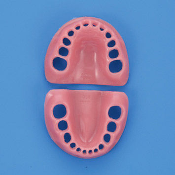 Modelo anatómico de encías - PDI2001-GUL-SP - Nissin Dental Products Inc.   - de formación / infantil