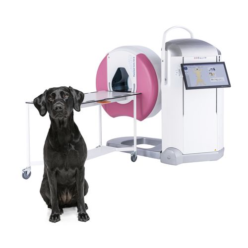 Escáner CBCT veterinario para perros - Verity® - Planmeca