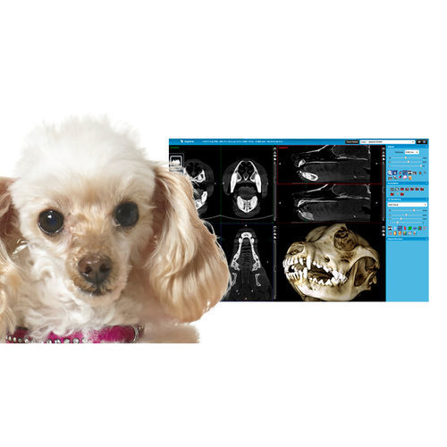 Software visualizador - Romexis® Viewer - Planmeca - médico / clínico / TEP