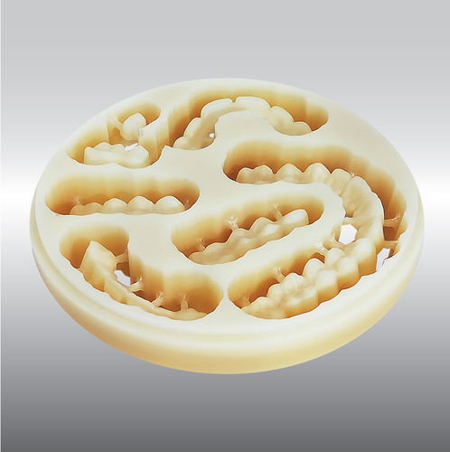 Material dental de PMMA - DISC multilayer - POLIDENT d.o.o.   - CAD CAM / para corona / temporal