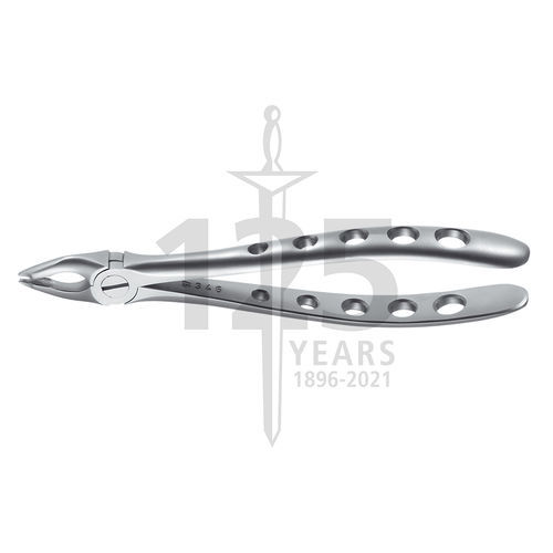 Fórceps de extracción dental para dientes caninos - 140-34 - A. Schweickhardt - para incisivos superiores / tipo inglés