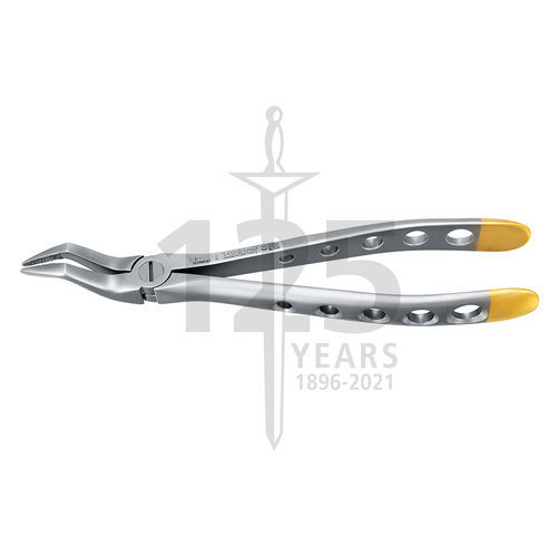 Fórceps de extracción para raíz dental - 140-51AD - A. Schweickhardt - tipo inglés