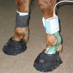 Sistema de análisis de marcha - Hoof™ - Tekscan - veterinario