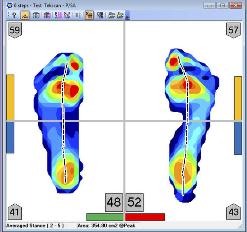 Software para podología - FootMat™ Researchers - Tekscan - de análisis / de visualización / para informes