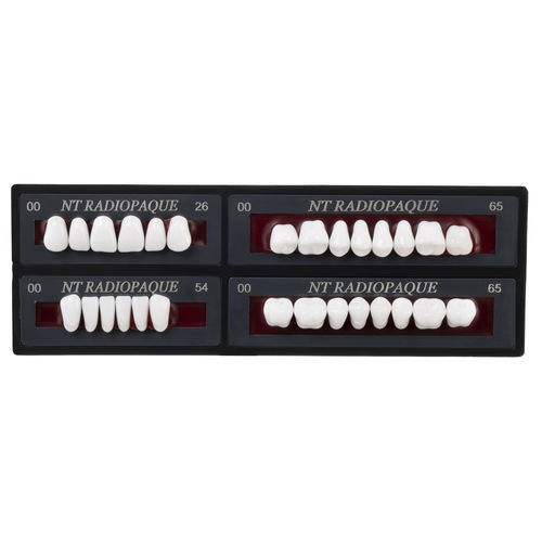 Prótesis dental - Nt Radiopaque - TOROS DENTAL