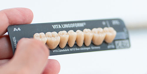 Prótesis dental de composite - VITAPAN® LINGOFORM - VITA Zahnfabrik H. Rauter GmbH & Co.KG   - para dientes posteriores