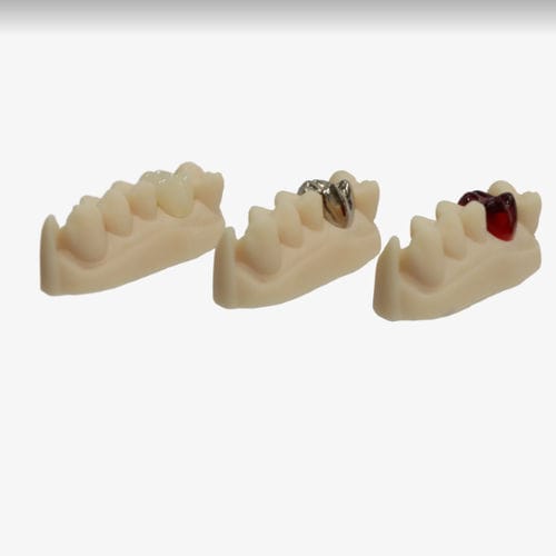Material dental de resina - VeriCast  - Whip Mix Corporation - para restauración dental / de fundición / de gel