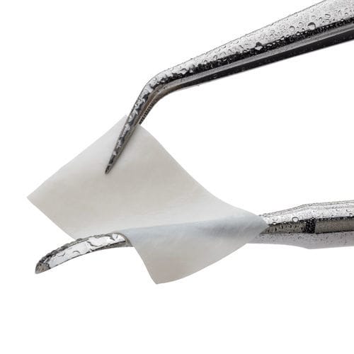 Matriz tisular cirugía dental - CopiOs® - Zimmer Dental - alotrasplante / xenotransplante
