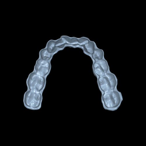 Módulo de software de simulación en 3D - CAD/CAM Bite Splints - Zirkonzahn - de CAD / de creación de prótesis dentales / FAO