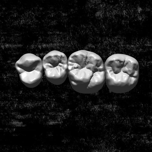 Software de simulación en 3D - Library - Zirkonzahn - de CAD / FAO / para restauración dental