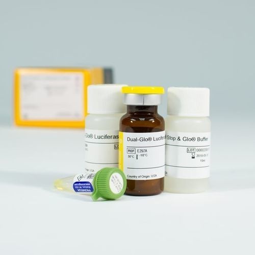 Kit de prueba para la investigación médica - Dual-Glo® - Promega France - de citotoxicidad / de genes / de células