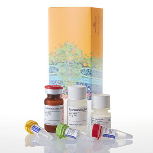 Kit de prueba para la investigación médica - ROS-Glo™ - Promega France - de estrés oxidativo / de peróxido de hidrógeno / de células
