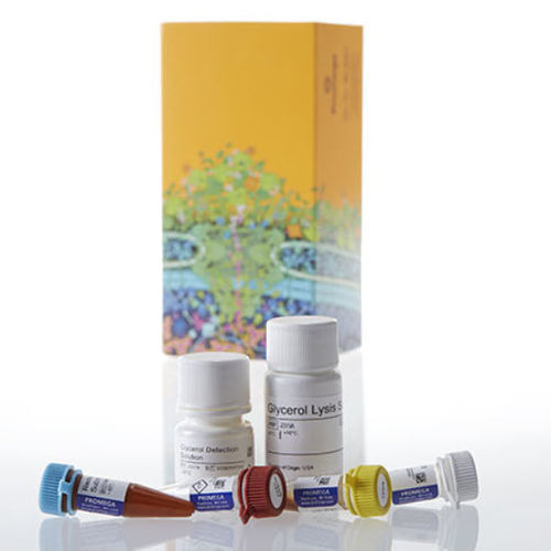 Kit de reactivos de suero - Triglyceride-Glo™ - Promega France - de tejidos / de fosfato / de lipasa