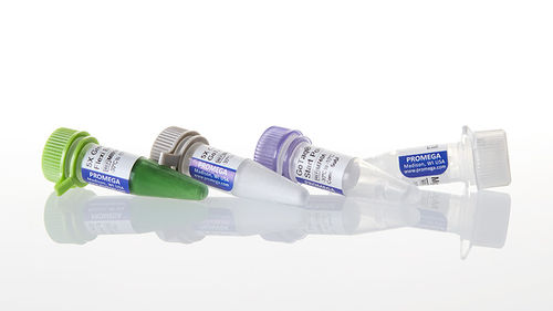Reactivo ADN polimerasas - GoTaq® G2 - Promega France - anticuerpos / polimerasa Taq / para la investigación
