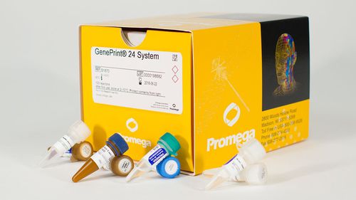 Kit de reactivos en solución - GenePrint® 24  - Promega France - colorante / de tejidos / de ácidos nucleicos
