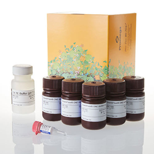 Kit de reactivos colorante - QuantiFluor® ONE - Promega France - de ácidos nucleicos / para microbiología