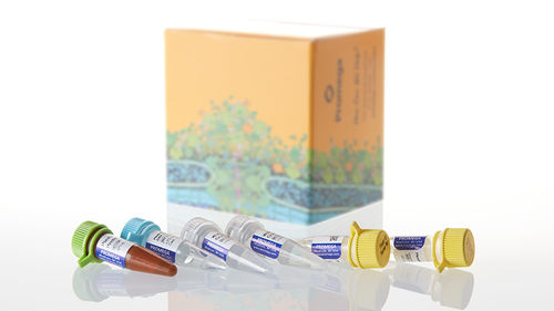 Kit de reactivos solución tampón - Plexor® HY  - Promega France - para biología molecular / de ácidos nucleicos / para qPCR