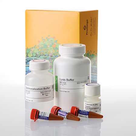 Kit de reactivos en solución - DC6051 - Promega France - solución tampón / para la investigación / para electroforesis capilar
